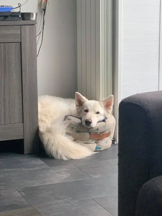 Misthy's friend Maya