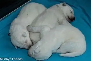 Foto's gemaakt op 31 mei 2015 Foto's gemaakt op 31 mei 2015