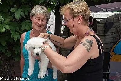 1 juli 2015 Zwitserse witte herder L nest Dierenarts bezoek pup Lex 1 juli 2015 Zwitserse witte herder L nest Dierenarts bezoek pup Lex