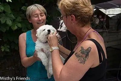1 juli 2015 Zwitserse witte herder L nest Dierenarts bezoek pup reu paars Leeroy 1 juli 2015 Zwitserse witte herder L nest Dierenarts bezoek pup reu paars Leeroy