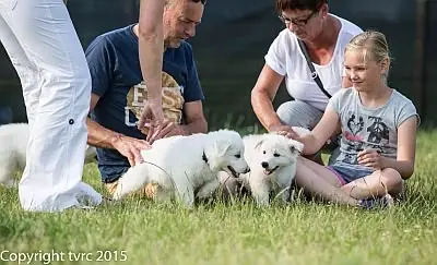 Eerste uitstapje 4 juli 2015 - L-nest 2015 - foto 6 Eerste uitstapje 4 juli 2015 - L-nest 2015 - foto 6