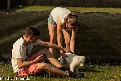 Eerste uitstapje 4 juli 2015 - L-nest 2015 - foto 18 Eerste uitstapje 4 juli 2015 - L-nest 2015 - foto 18