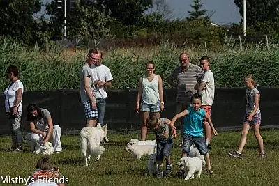 Eerste uitstapje 4 juli 2015 - L-nest 2015 - foto 22 Eerste uitstapje 4 juli 2015 - L-nest 2015 - foto 22