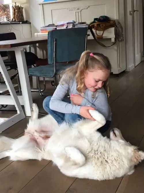 Misthy's Friends Fee (K-Nest) spelen