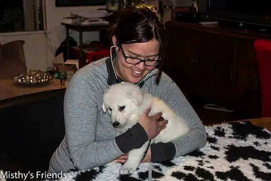 Dierenarts bezoek 23 december 2015 Teef Groen Misthy Dierenarts bezoek 23 december 2015 Teef Groen Misthy