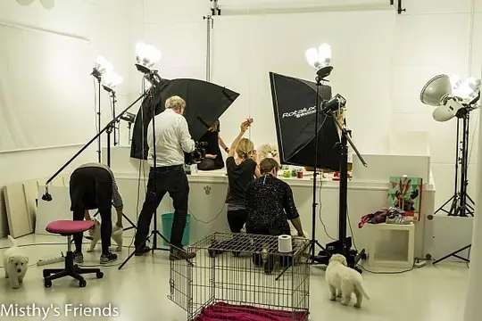 Bezoek fotograaf op 27 december 2015 - M-nest 2015 - foto 8 Bezoek fotograaf op 27 december 2015 - M-nest 2015 - foto 8