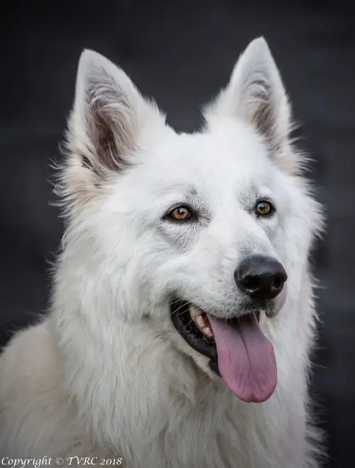 Misthy's Friends Lady Kita September 2018