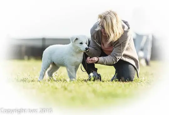 Misthy's Friends Logan met haar baasje