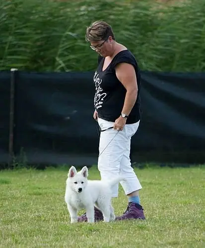Misthy's Friends Lady Bo op training