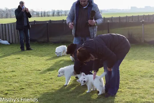 Eerste uitstapje op 26 november 2016 - N-nest 2016 - foto 8 Eerste uitstapje op 26 november 2016 - N-nest 2016 - foto 8