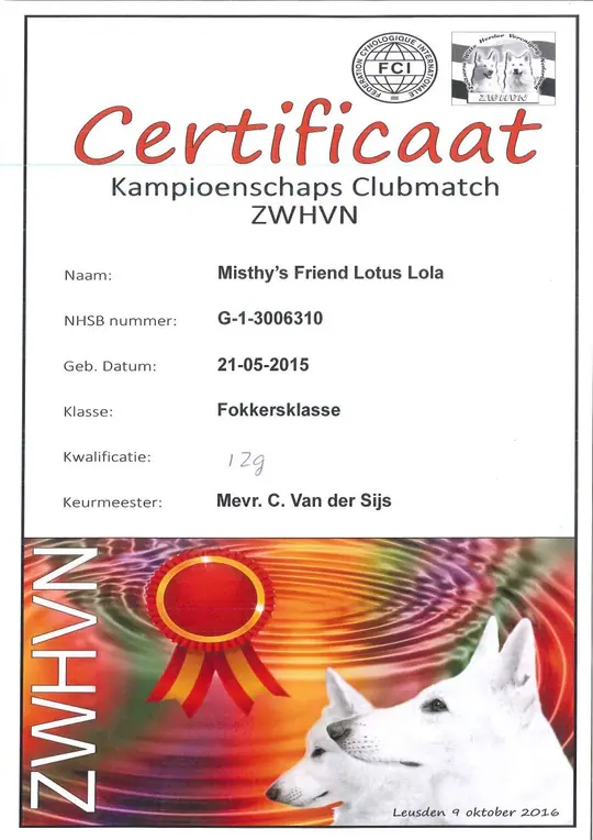 9 oktober 2016 Kampioenschapsclubmatch Z.W.H.V.N. - Misthy's Friend Lotus Lola - foto 2 9 oktober 2016 Kampioenschapsclubmatch Z.W.H.V.N. - Misthy's Friend Lotus Lola - foto 2
