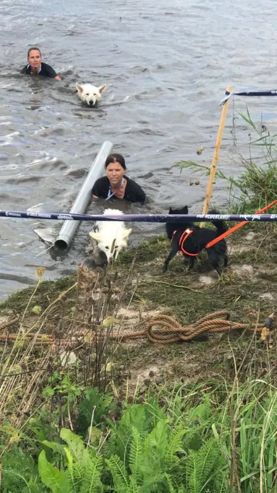 Misthy's Friends Mila Branca bij het waterwerk