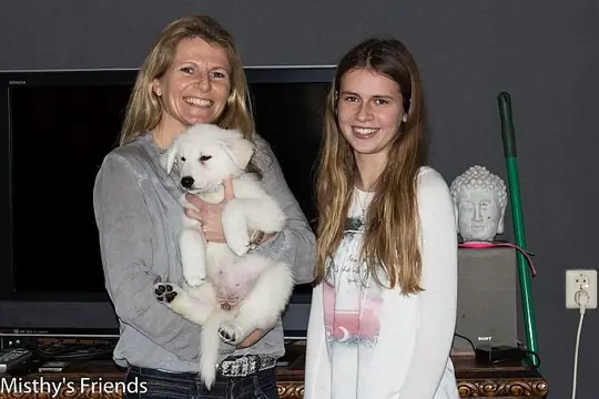 Misthy´s Friend Misty bij vetrek