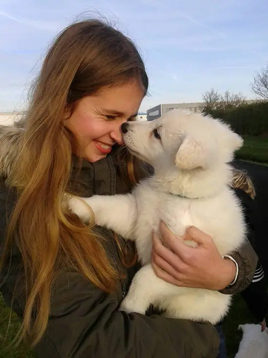 Misthy´s Friend Misty eerste foto met baasje