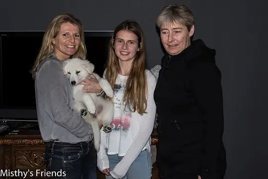 Misthy´s Friend Misty pup