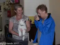 Bezoek dierenarts op 10 mei 2017 pup Solar Bezoek dierenarts op 10 mei 2017 pup Solar