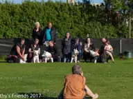 REÜNIE OP 30 JULI 2017 - O-nest 2017 - foto 1 REÜNIE OP 30 JULI 2017 - O-nest 2017 - foto 1