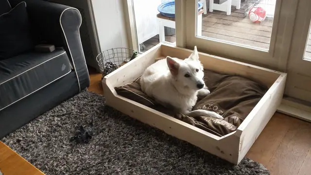 Misthy's Friend Noortje oktober 2017