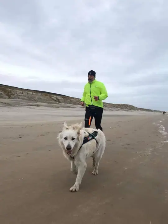 Misthy's Friend Noortje Op strand, mei 2020