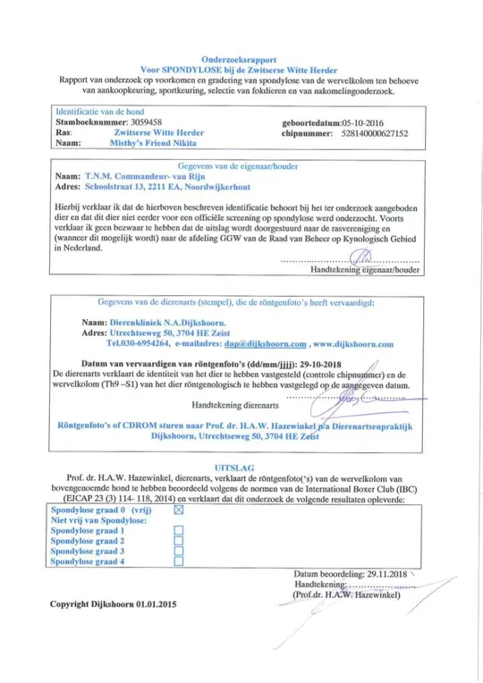Nikita's Spondylose onderzoek