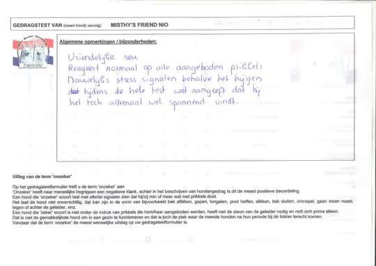 Gedragstest rapport achterkant