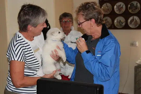 Bezoek chipper aan het P nest op 7 september 2017 aan de beurt is: teef Blauw Bezoek chipper aan het P nest op 7 september 2017 aan de beurt is: teef Blauw