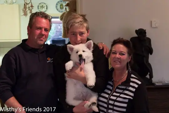Zwitserse witte herder Misthy's friends Prins Arlo bij het vertrek naar nieuwe baasjes