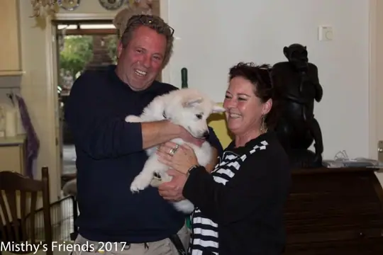 Zwitserse witte herder Misthy's friends Prins Arlo met zijn nieuwe baasjes