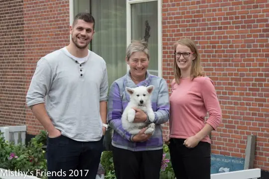 Zwitserse witte herder Misthy's friends Prins Romeo bij het vertrek naar nieuwe baasjes