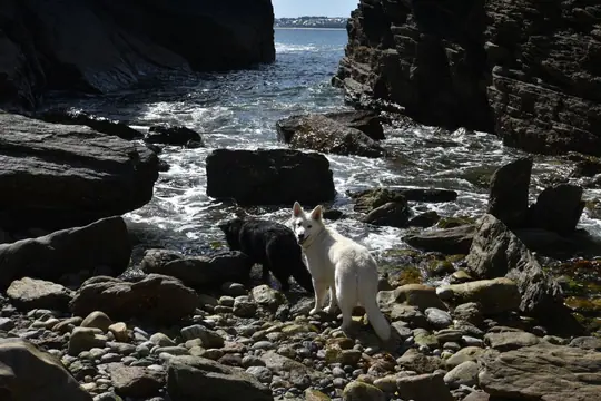 Pippa september 2021