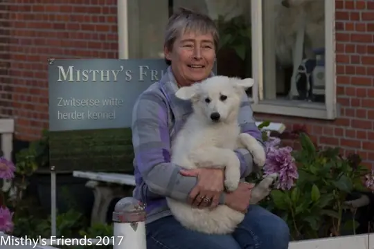 Zwitserse witte herder Misthy's Friend pup Pacific Silver met Thea