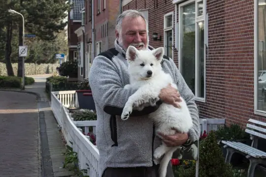 Zwitserse witte herder pup Misthy's Friends Qassia met nieuwe baasje