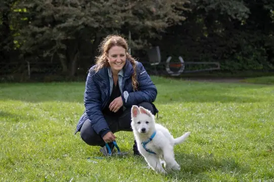 Zwitserse witte herder pup Roxy Pippa na de training september 2020