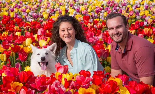 Rio bij The Tulip Barn