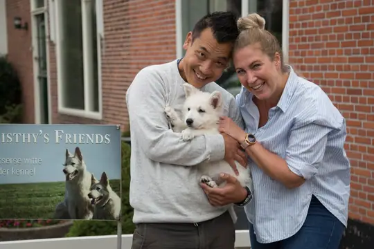 Zwitserse witte herder pup Rhea Denali