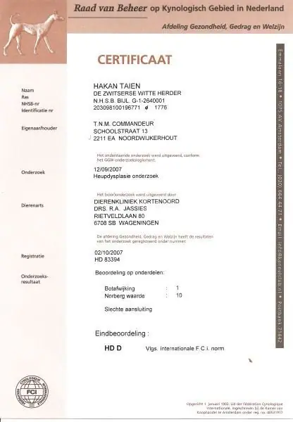 HD uitslag: ED Uitslag Hakan HD uitslag: ED Uitslag Hakan