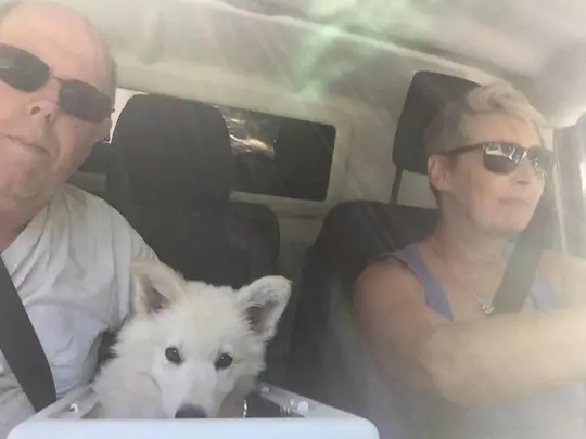 Lady onderweg naar haar nieuwe baasjes Lady onderweg naar haar nieuwe baasjes