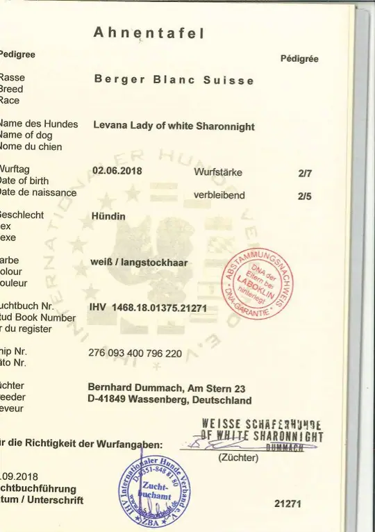 Stamboom Duitsland: Stamboom Lady uit Duitsland Stamboom Duitsland: Stamboom Lady uit Duitsland