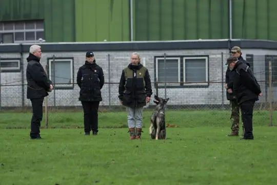 IGP II Examen Echo Groepje IGP II Examen Echo Groepje