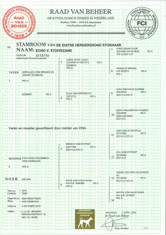 Stamboom Raad van beheer: Stamboom Echo Stamboom Raad van beheer: Stamboom Echo