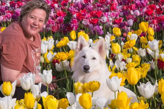 Snorro in the Tulips Barn