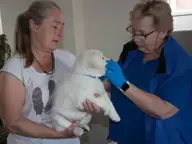 Bezoek Chipper 12 april 2022 pup Coen