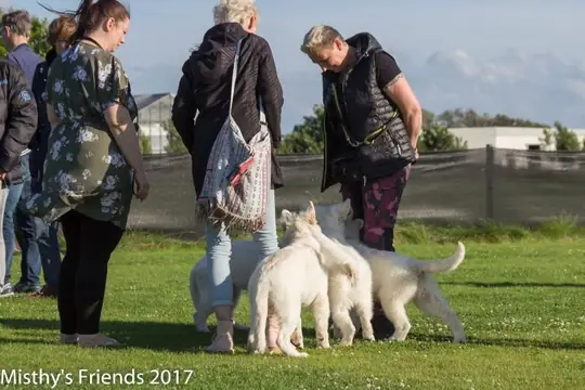 2017 Terug kom dag O nest op 30 juli - foto 44
