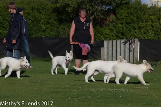 2017 Terug kom dag O nest op 30 juli - foto 47