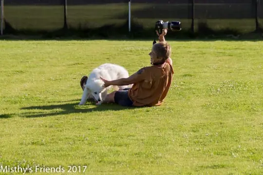 2017 Terug kom dag O nest op 30 juli - foto 48
