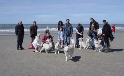 2004 Kennel Wandeling op 10 april - foto 5