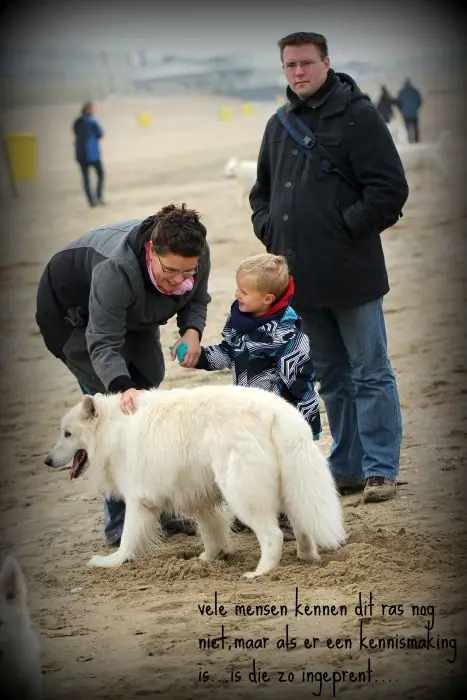 2013 Kennel Wandeling op 12 oktober - foto 16