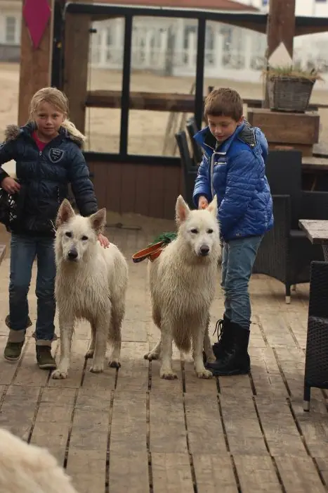2013 Kennel Wandeling op 12 oktober - foto 22