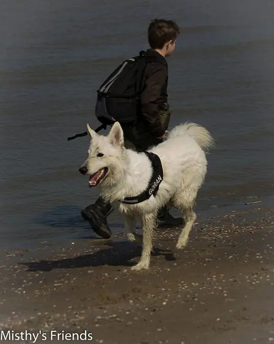 2014 Kennel Wandeling op 29 maart - foto 4 2014 Kennel Wandeling op 29 maart - foto 4