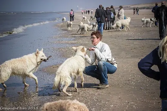 2014 Kennel Wandeling op 29 maart - foto 20 2014 Kennel Wandeling op 29 maart - foto 20